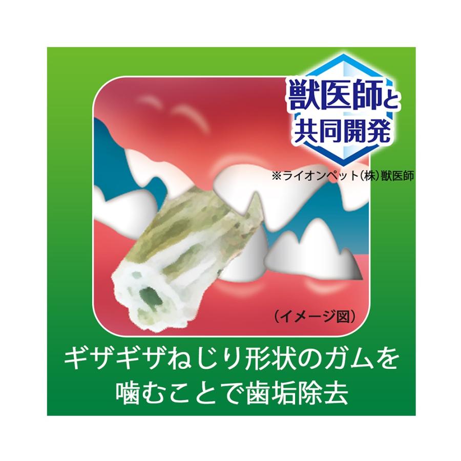 食後の歯みがきガム 5