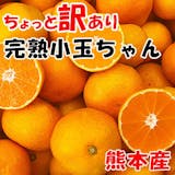 みかん10kgのおすすめ人気ランキング【2026年6月】 3