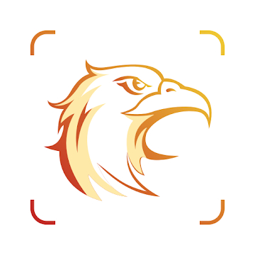 Picture Bird 1