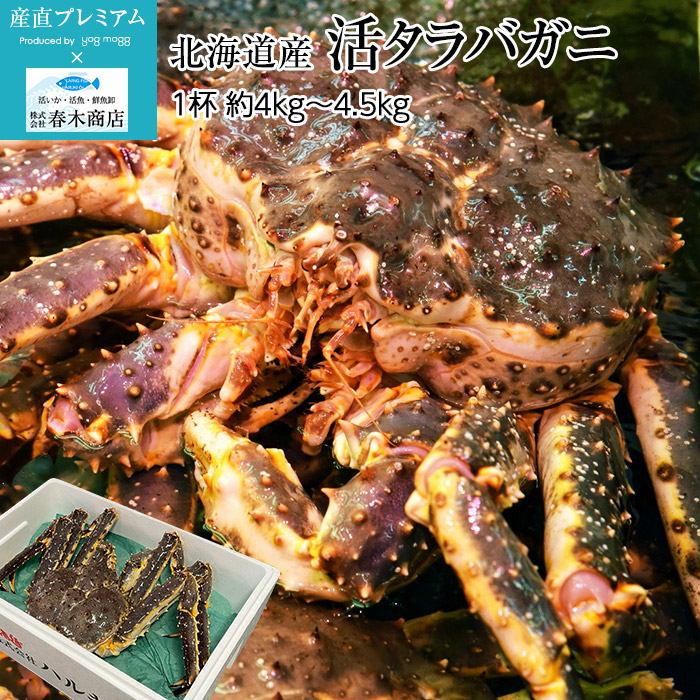 天然活タラバガニ 1
