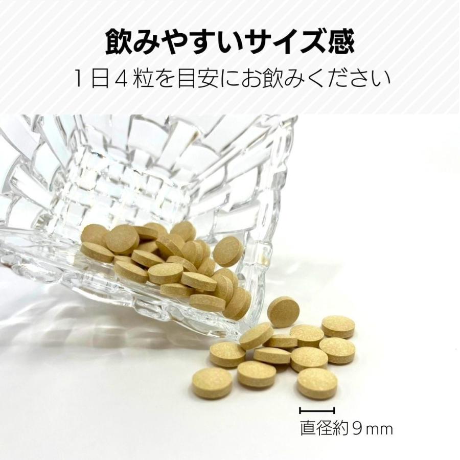 たもぎ美人 6