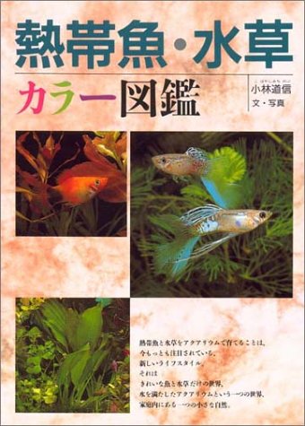 熱帯魚図鑑のおすすめ人気ランキング13選 | マイベスト