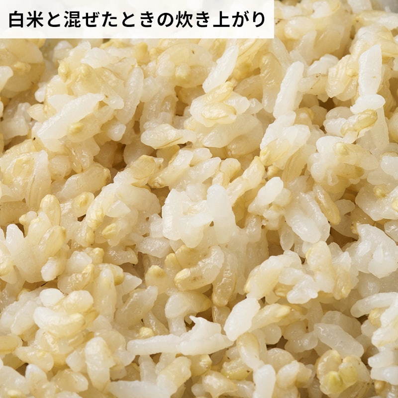 発芽米 金のいぶき 7