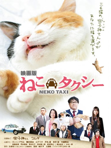 猫映画のおすすめ人気ランキング32選【2024年】 | マイベスト