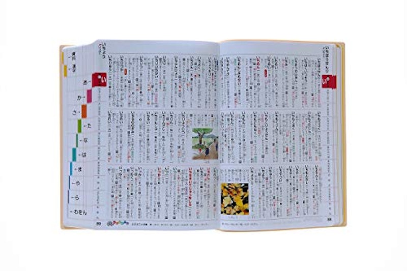 新レインボー小学国語辞典 改訂第6版 ディズニー版 6