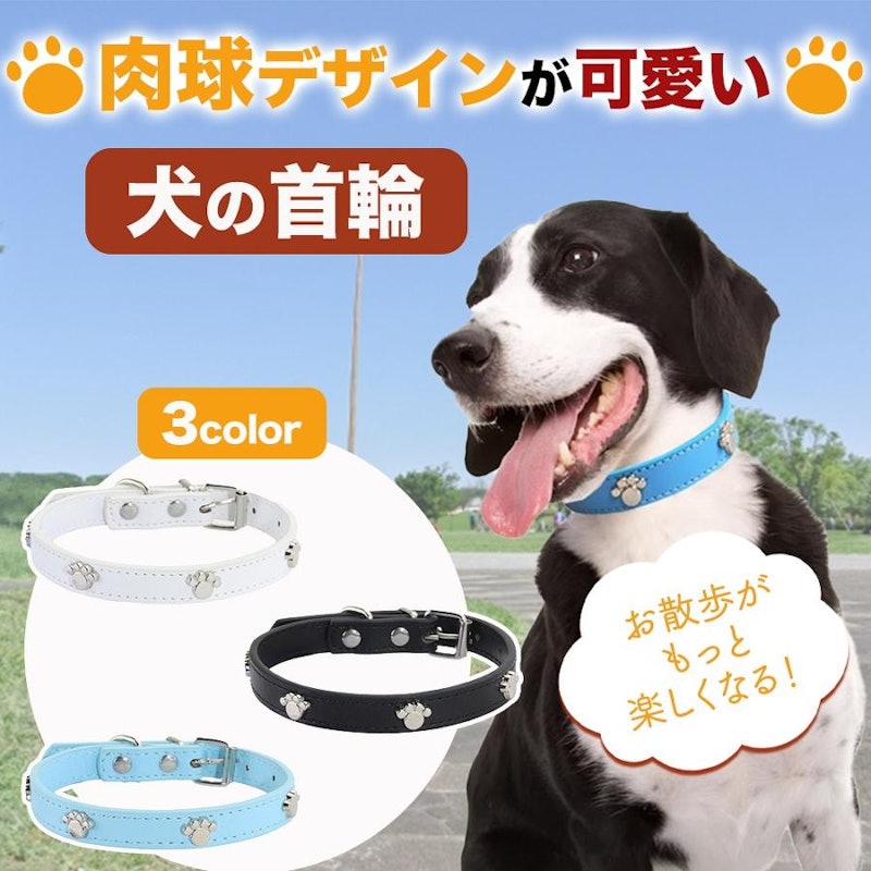 犬用首輪 1