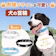 Eジャパン 犬用首輪 1