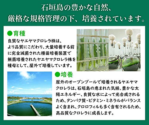 八重山クロレラ 4