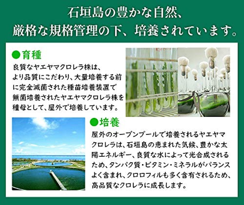 八重山クロレラ 4