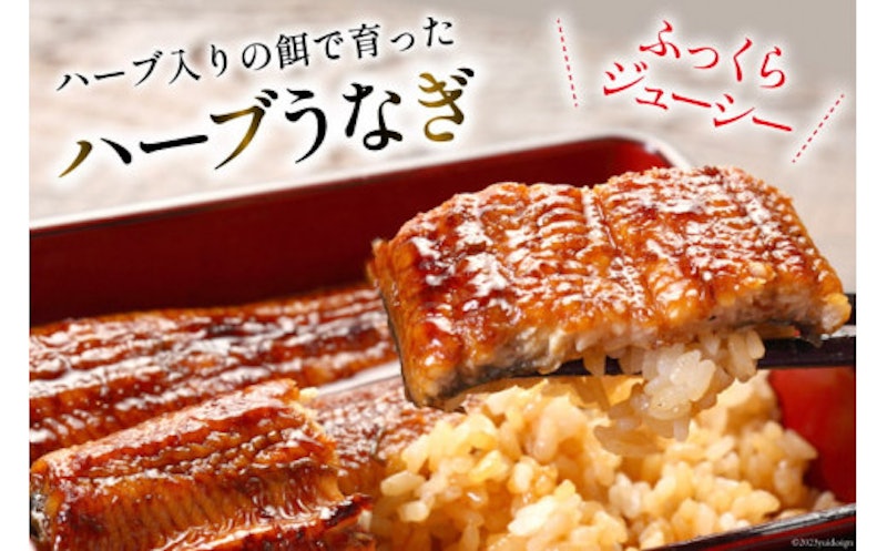 宮崎県産 ハーブうなぎ蒲焼 2