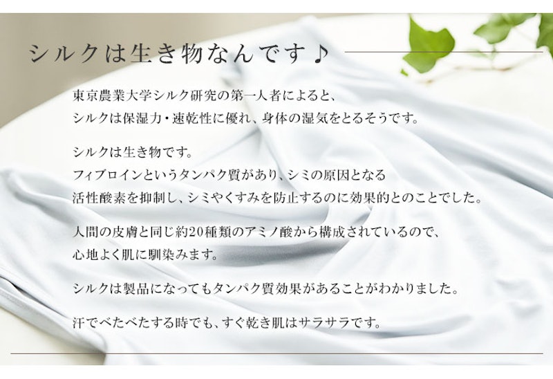 レースブラジャー 10