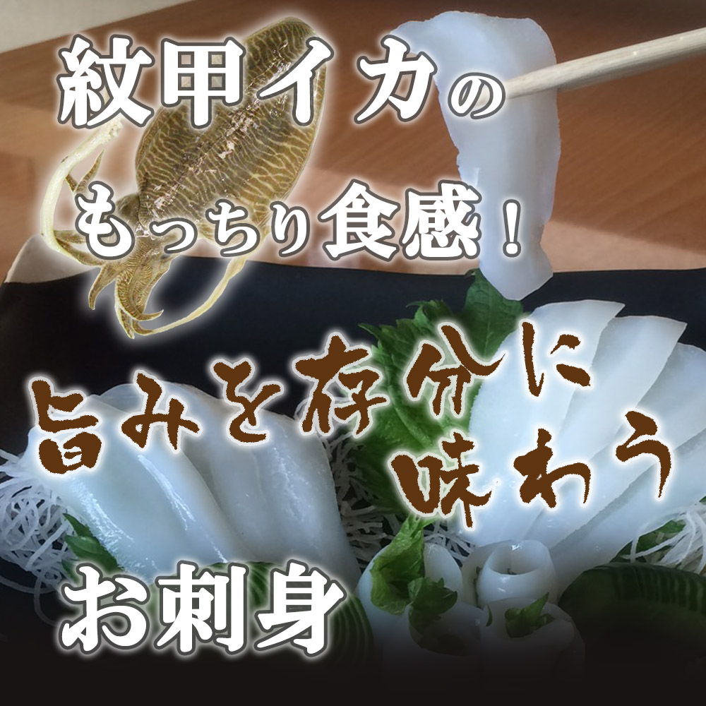 紋甲イカ刺身 3