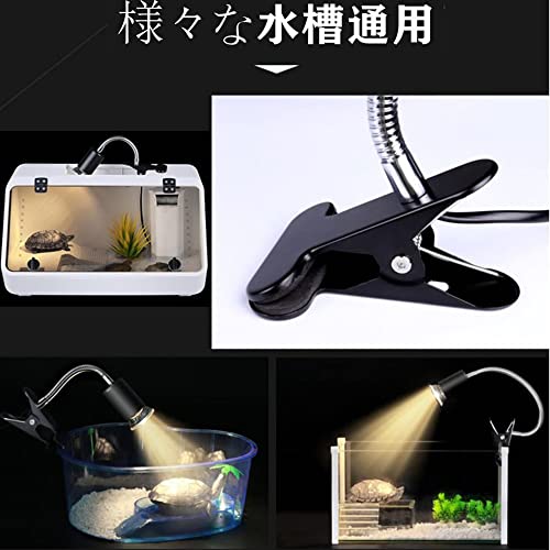 爬虫類ライト 3