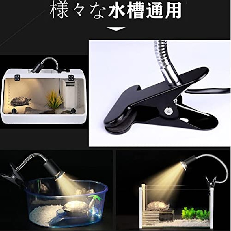 爬虫類ライト 3