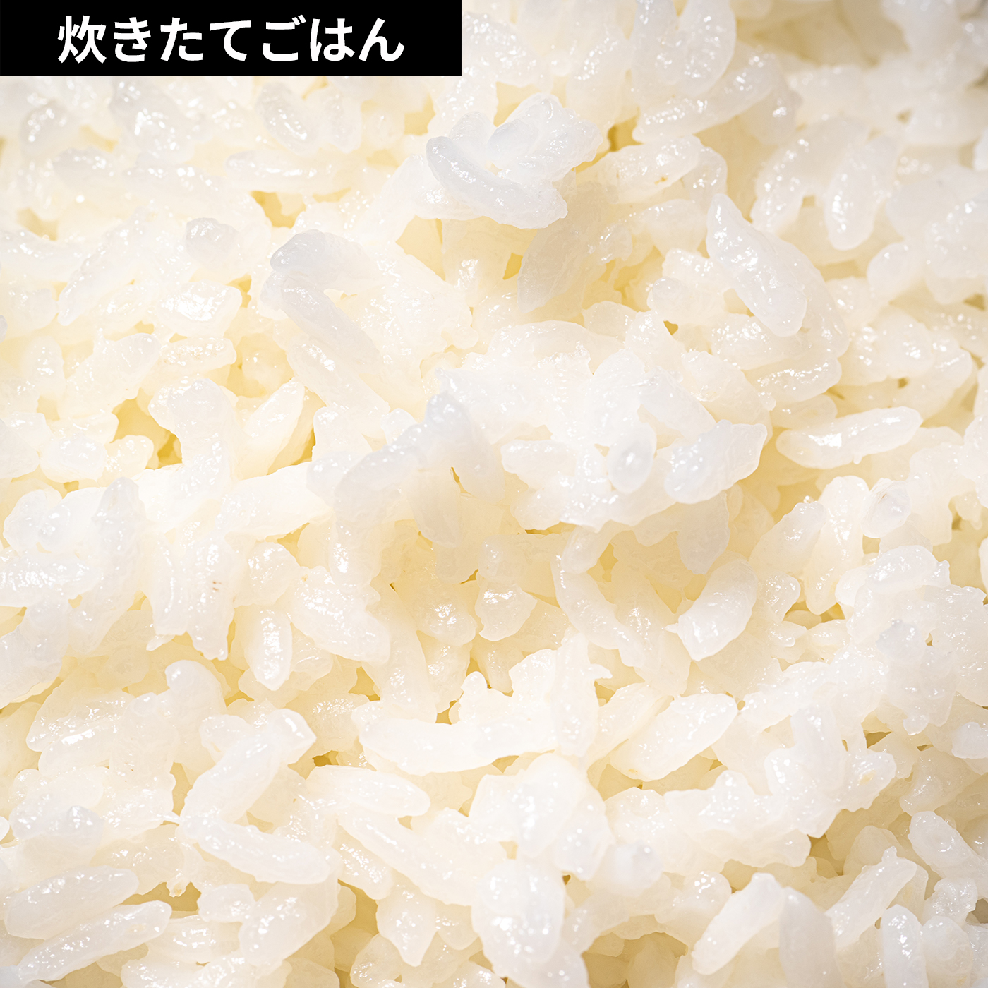 炊飯器 10