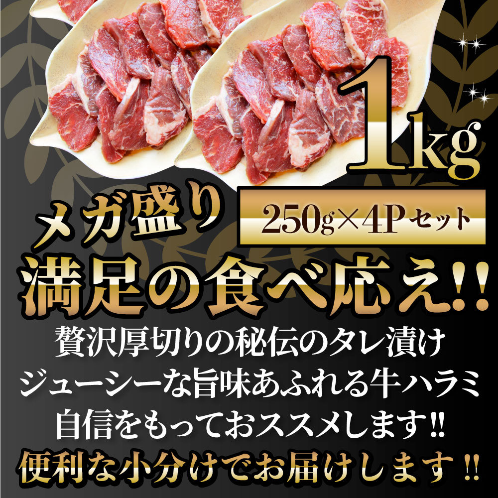 牛ハラミ 5