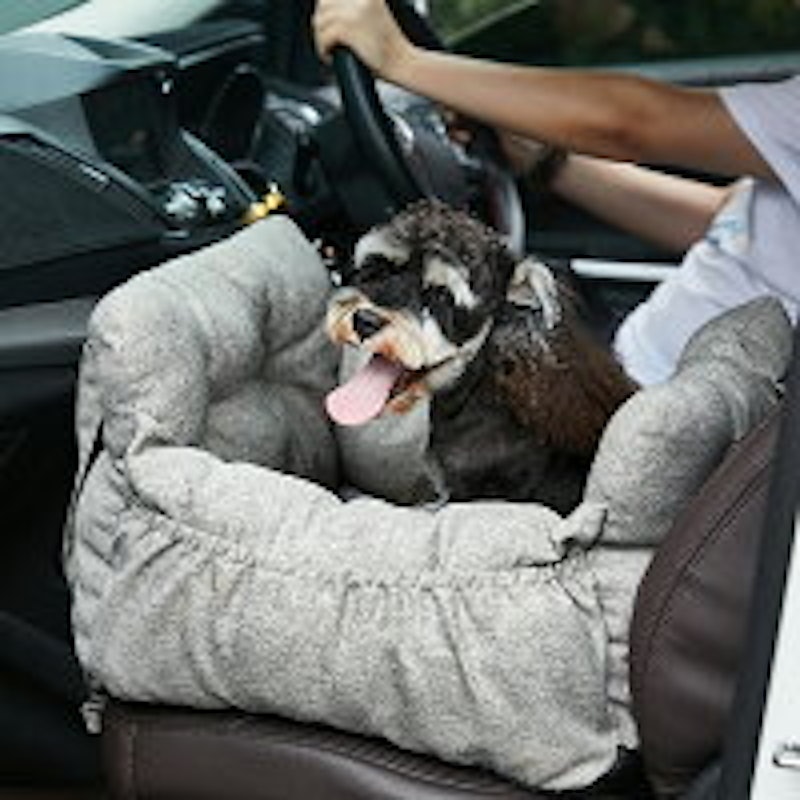 21年 犬用ドライブボックスのおすすめ人気ランキング12選 Mybest 21年 犬用ドライブボックスのおすすめ人気ランキング12選 Mybest