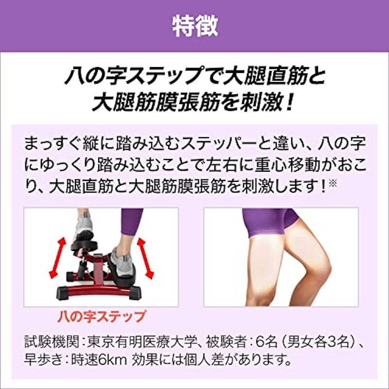 健康ステッパー ナイスデイ 3
