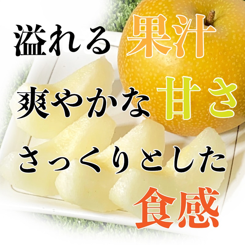 一勝地 梨 4
