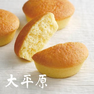 大平原 2
