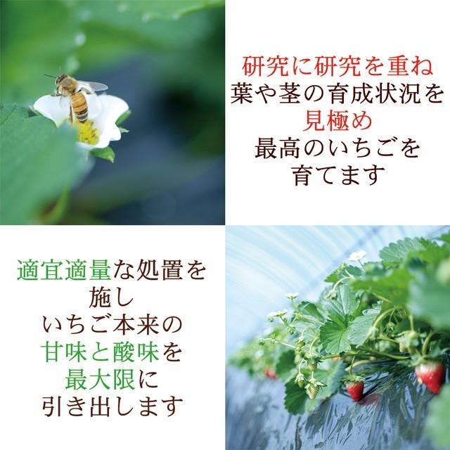 スカイベリー 10