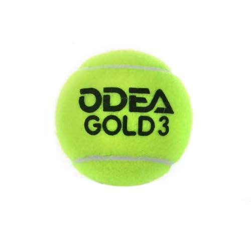 ソフトテニス 軟式テニス ボール 青ダンロップ 100球 racket-field_dstbpra2doz-5d