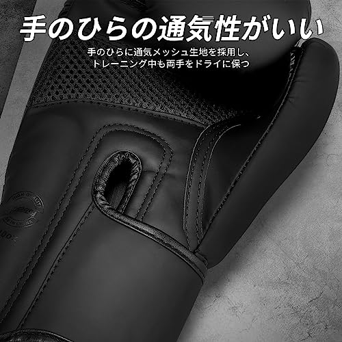 ボクシンググローブ 5