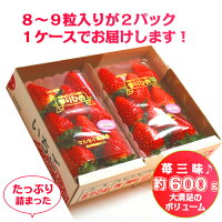 完熟まりひめ 超大粒 7