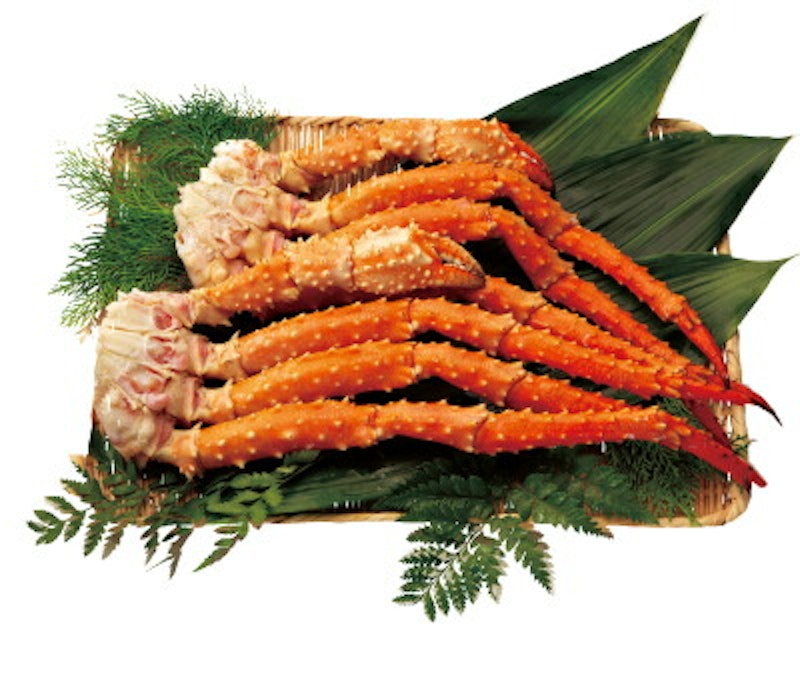 ボイル「いばらがに足」 1