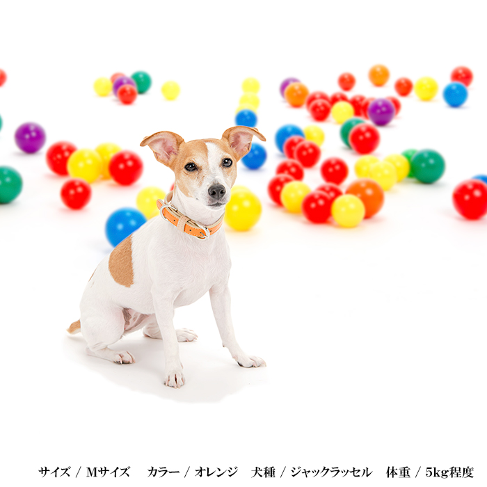 シンプルベーシック首輪 4