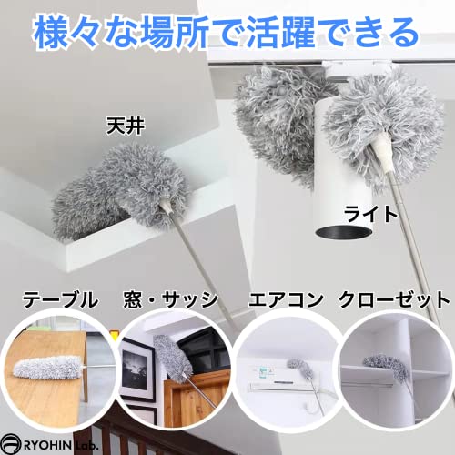 ホコリ取り 5