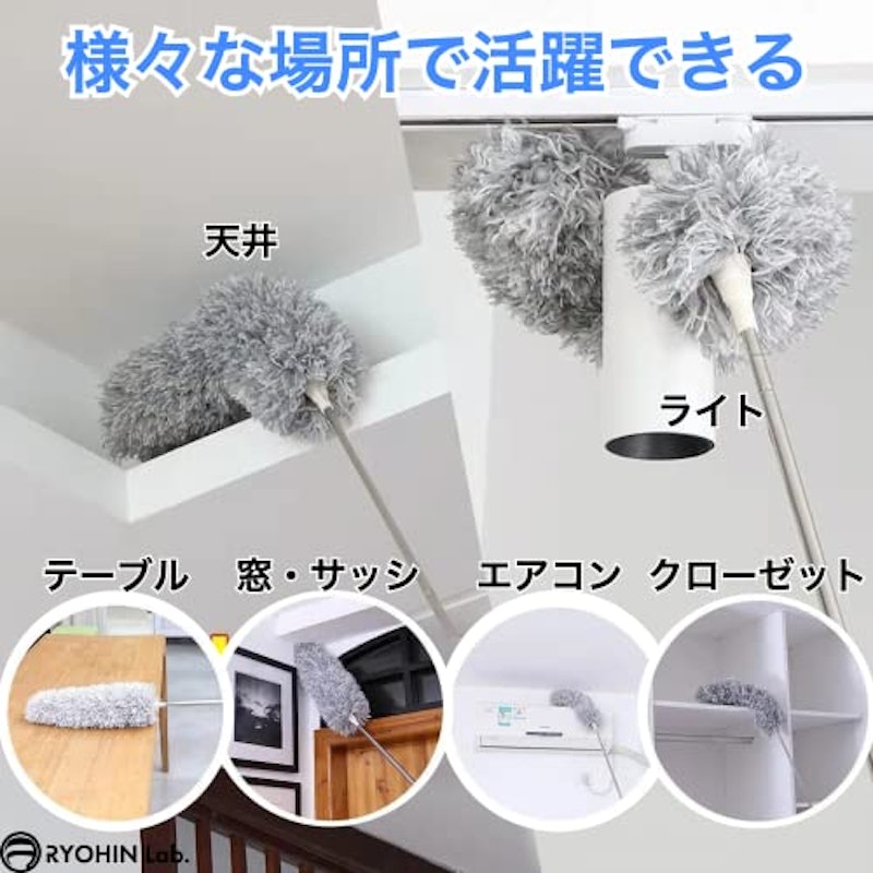 ホコリ取り 5