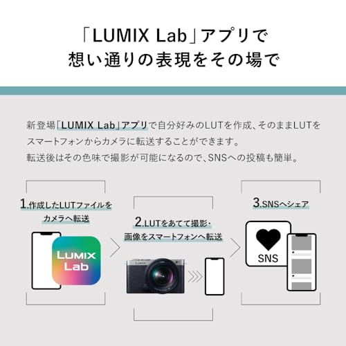 パナソニック LUMIX（ルミックス）のミラーレスのおすすめ人気