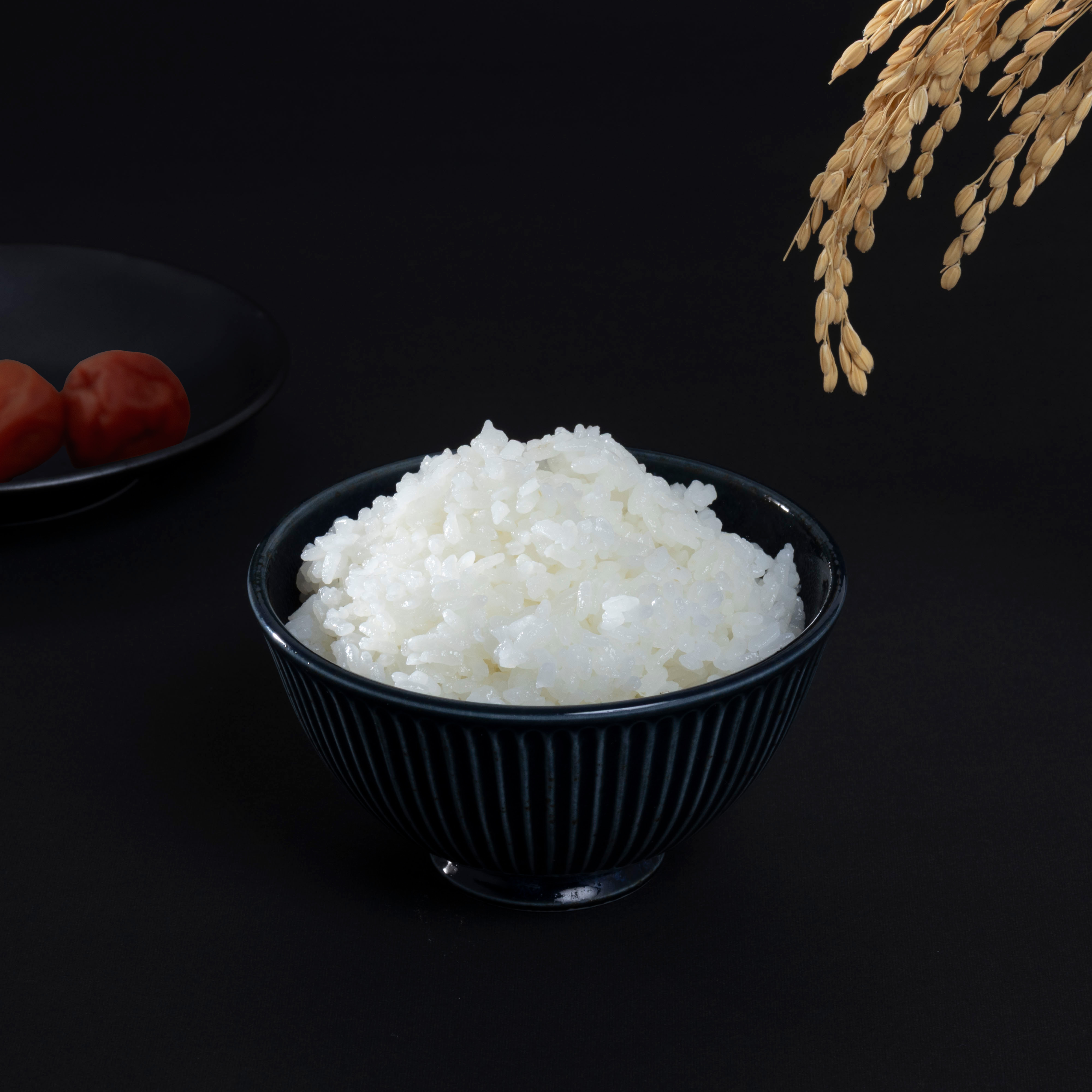 愛知ドビー Vermicular ライスポットミニ RP19A-SVを検証レビュー！炊飯器の選び方も紹介 3