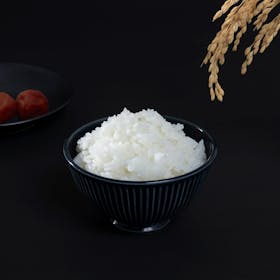 愛知ドビー Vermicular ライスポットミニ RP19A-SVを検証レビュー!炊飯器の選び方も紹介 3