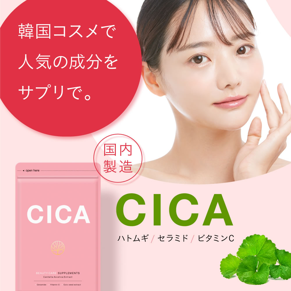  CICA  2