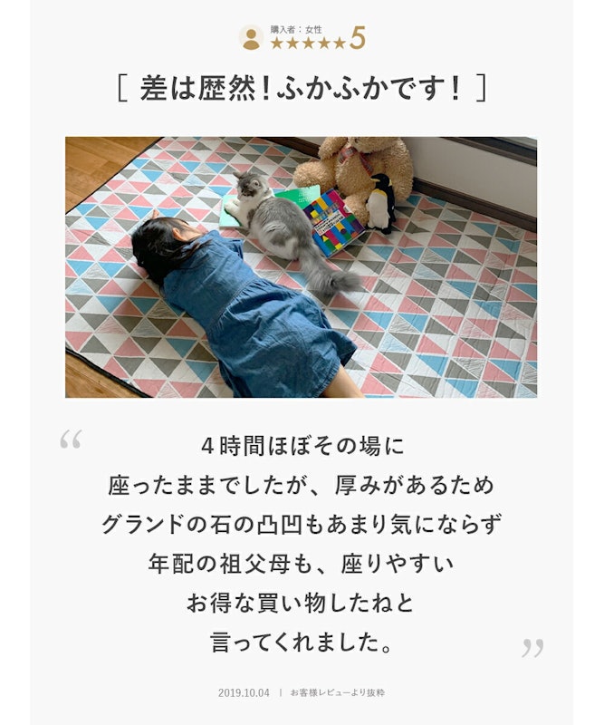 レジャーシート 5
