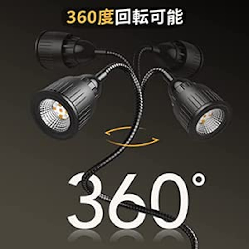 爬虫類ライト 5