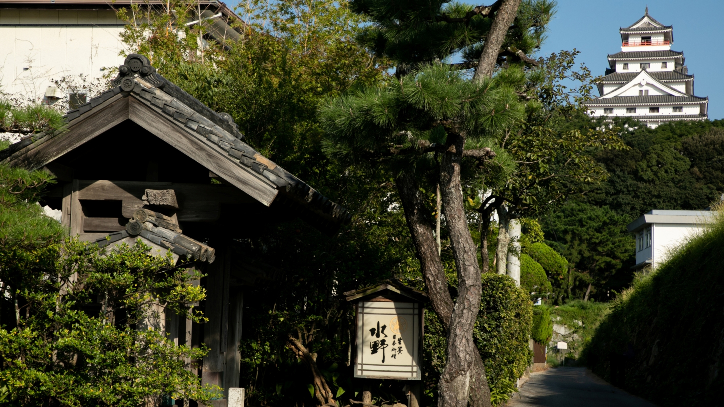 水野旅館 1