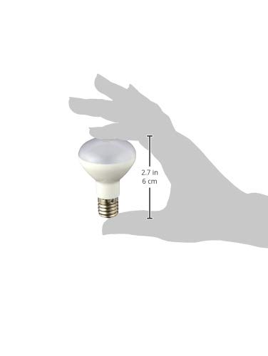 LED電球 レフランプミニ形 3