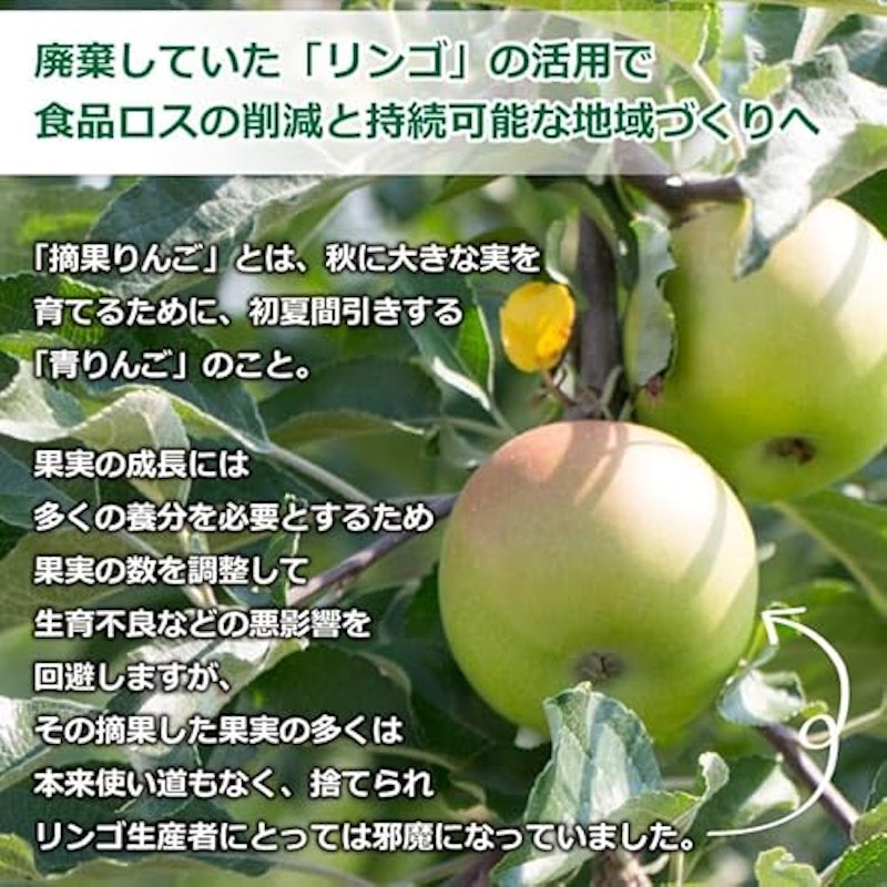 りんご乙女 6