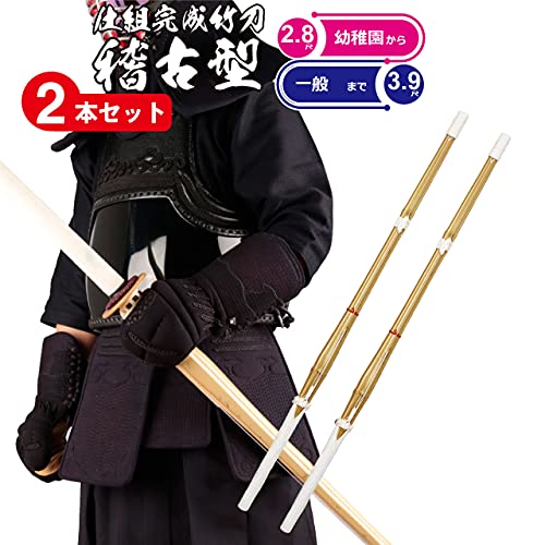 仕組竹刀稽古型2本組 2