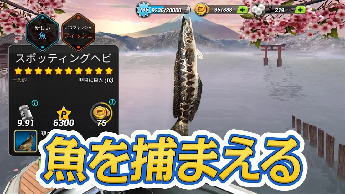 Fishing Clash 3