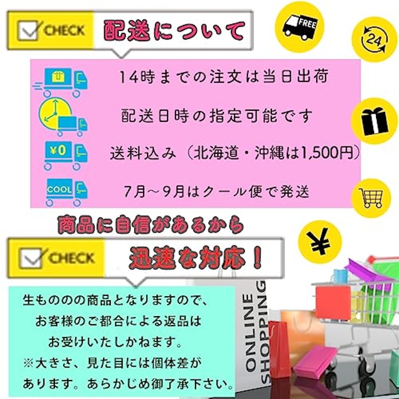 有田みかん 6