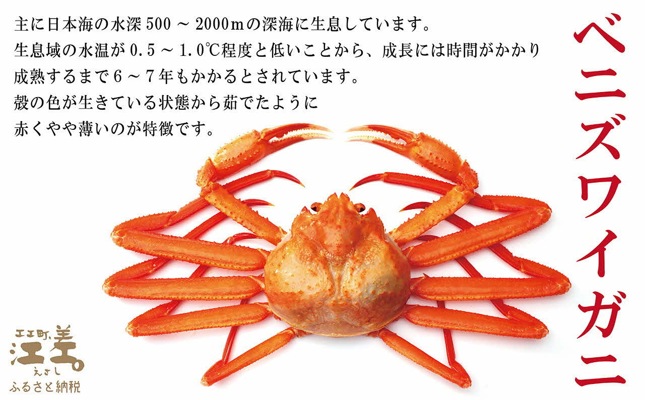 北前蟹 脚むき身 3