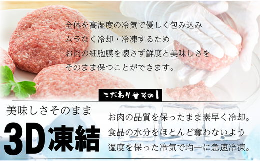 佐賀牛入り熟成ハンバーグ 3