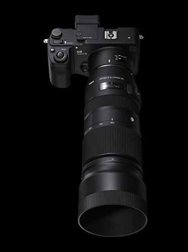 100-400mm F5-6.3 DG OS HSM Contemporary 6