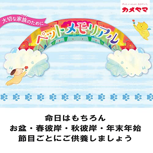 虹のかなた メモリアルステージセット 空色 6