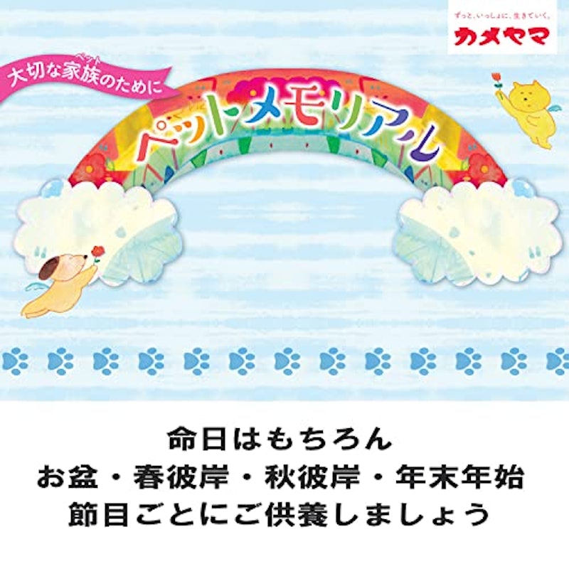 虹のかなた メモリアルステージセット 空色 6