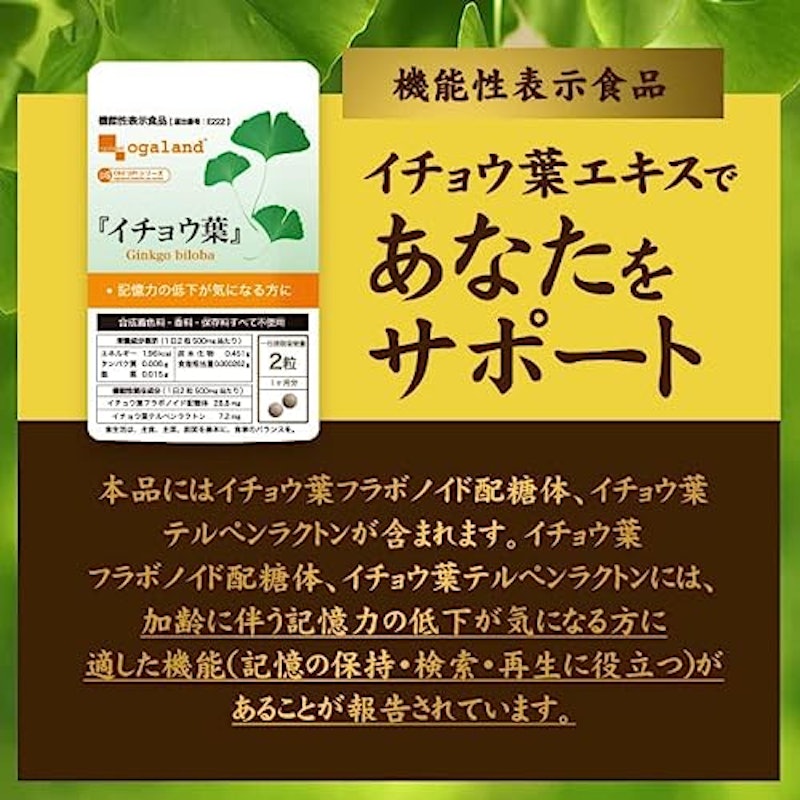 イチョウ葉 3